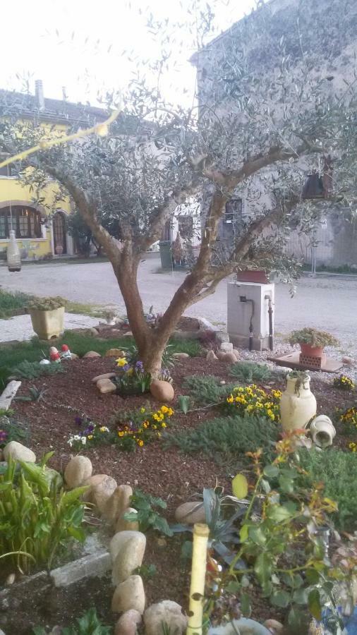B&B Peschi In Fiore Valeggio sul Mincio Exterior photo